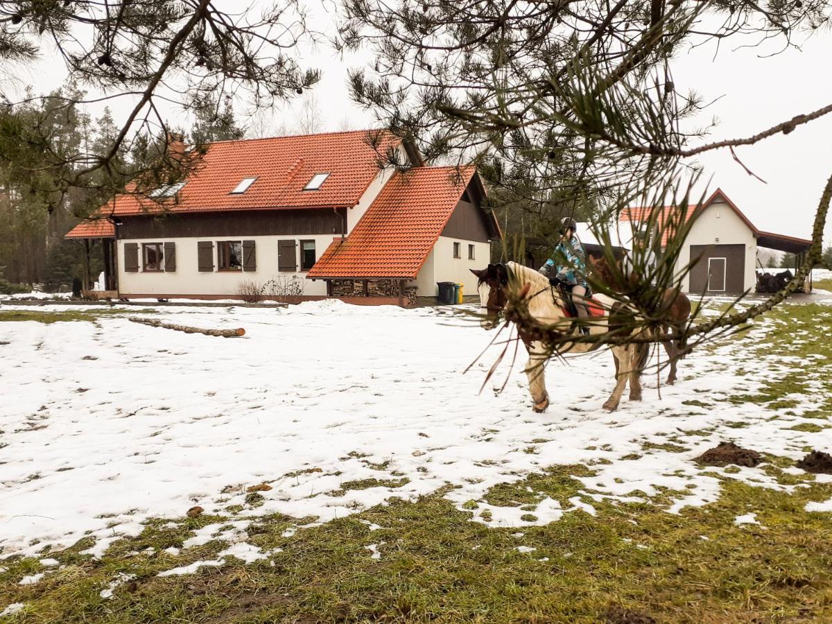 Вилла Przytulisko Stara Kiszewa Экстерьер фото